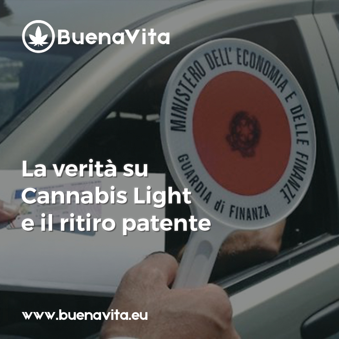 news Buenavita cannabis Milano