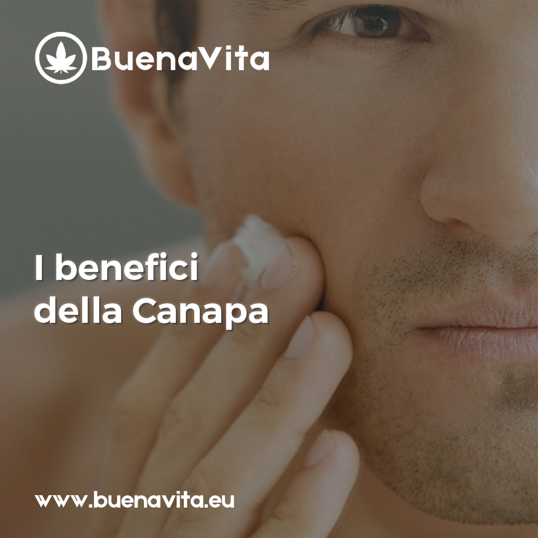 news Buenavita cannabis Milano