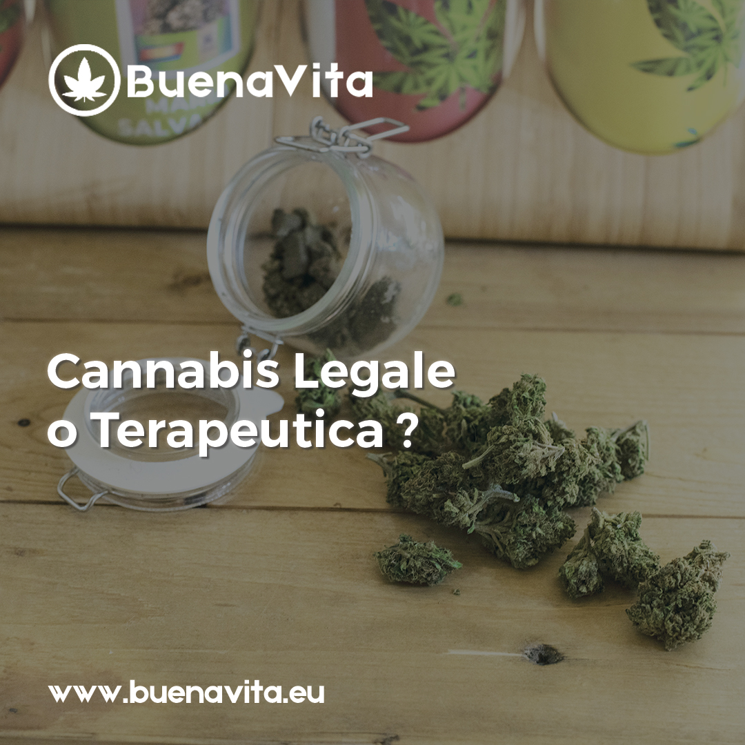 news Buenavita cannabis Milano