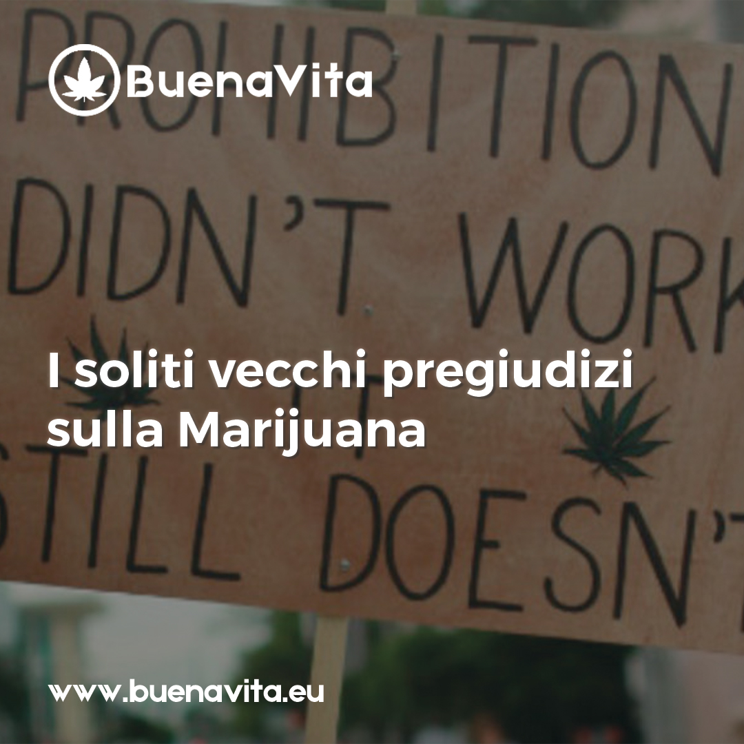 news Buenavita cannabis Milano