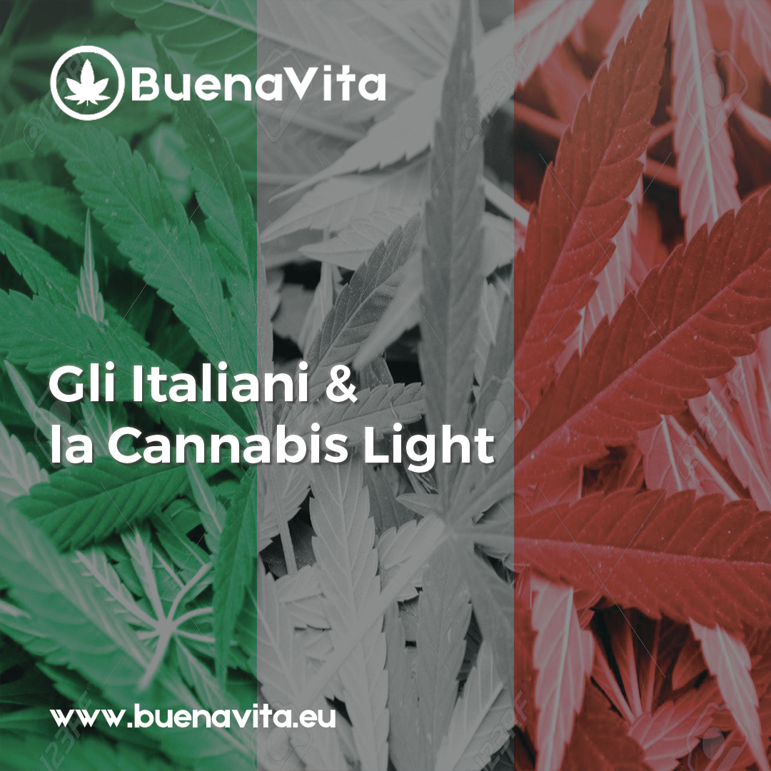 news Buenavita cannabis Milano