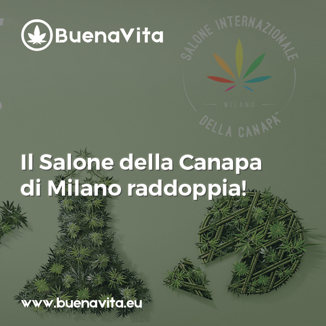 news Buenavita cannabis Milano