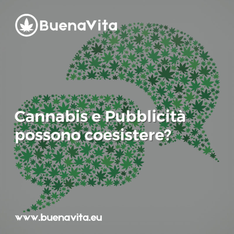 news Buenavita cannabis Milano