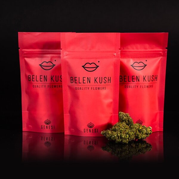 Cannabis Light – Belen Kush – Genesi