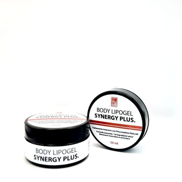 SYNERGY PLUS LIPOGEL – Trattamento Intensivo per il Benessere Muscolare e Articolare – Formula Avanzata 100% naturale – 50ml